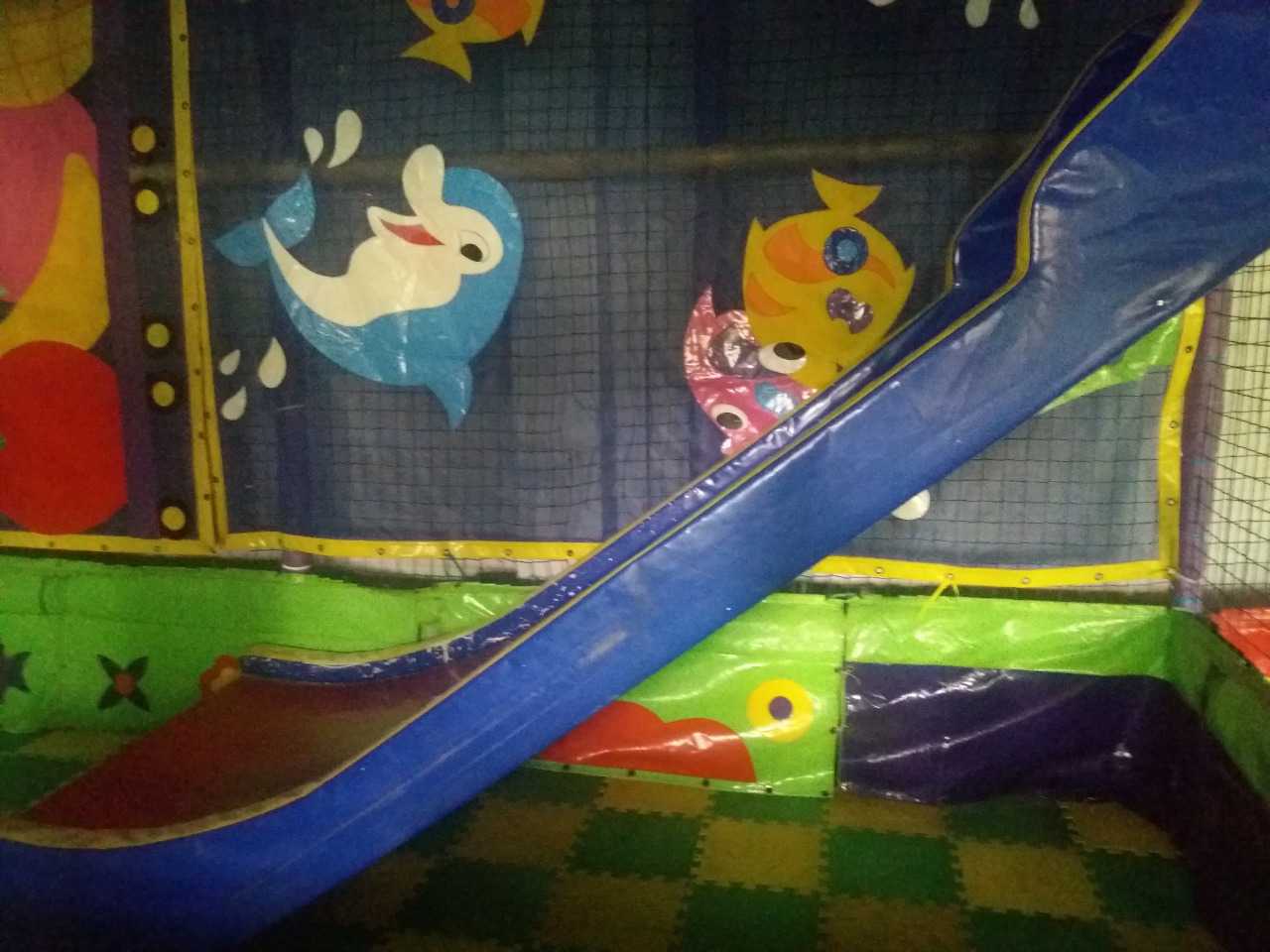 Animal Corner