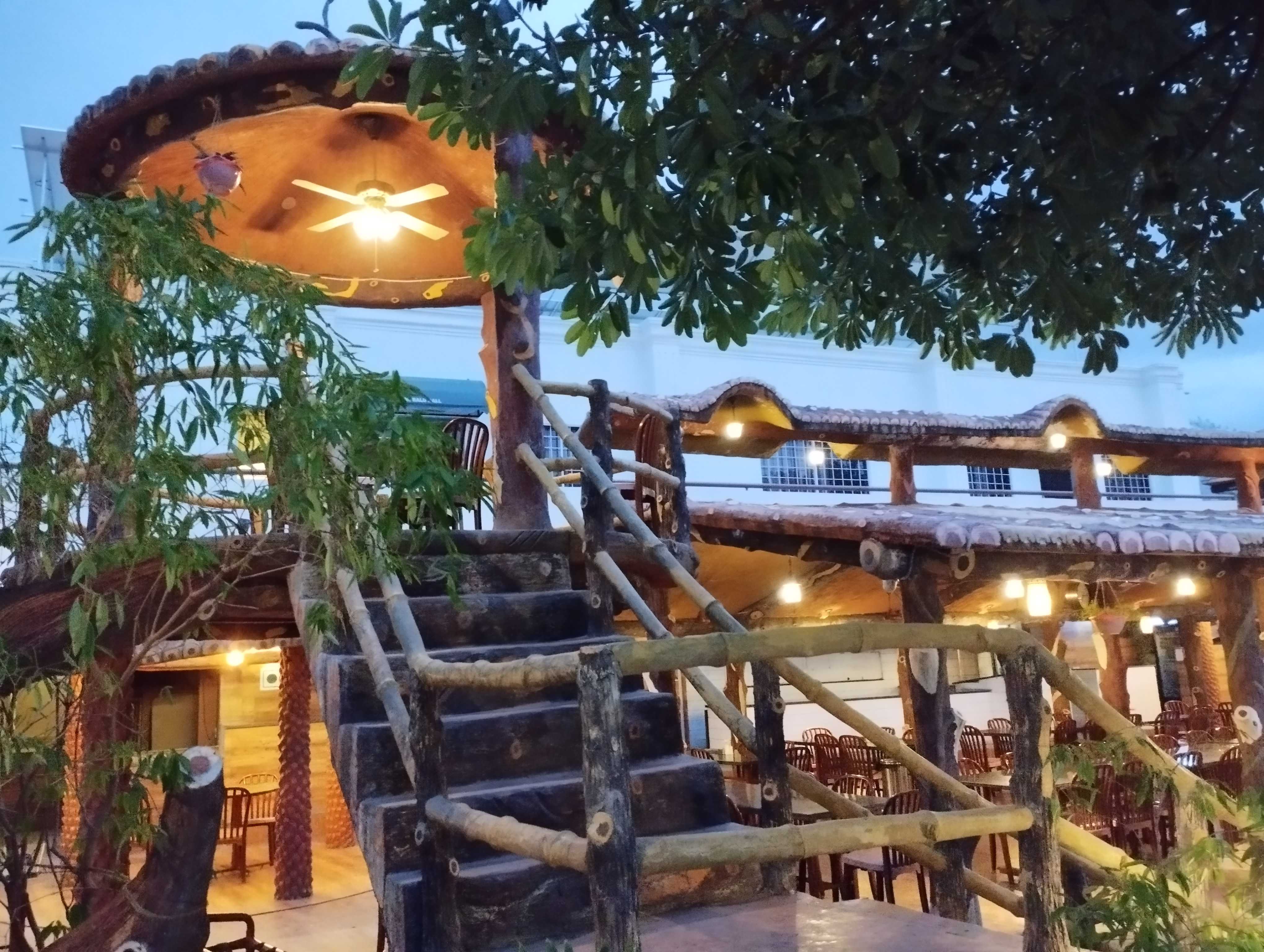 Dining Experience